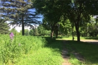 Lowland Prairie Project Parcel, Montevideo MN