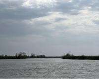 Mississippi River near Venice, Louisiana_by Amy Reed