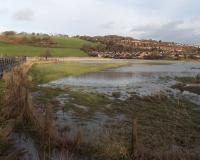 Usk floodplain, Caerleon, Jaggery 