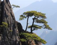 Chinese countryside