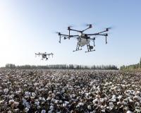 Drone flying over crop