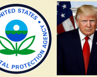 EPA and Donald Trump