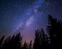 Milky way over forest