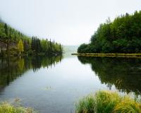 Leadership of Women in the Environmental Movement