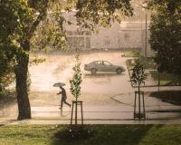 Rainy street in a city