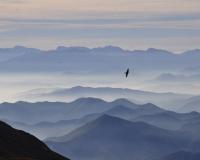 Mountains landscape