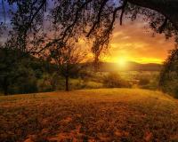 Meadow at sunset