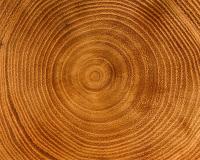 Tree growth rings