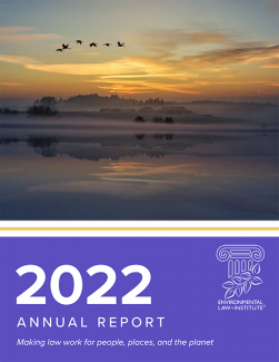 2022 ELI Annual Report