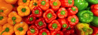 Bell Peppers