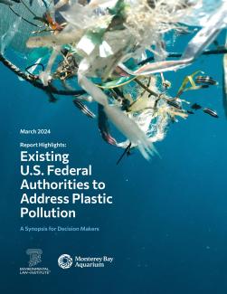 Cover page of report featuring an underwater photo with plastic pollution on the surface. Report is titled "Existing U.S. Federal Authorities to Address Plastic Pollution: A Synopsis for Decision Makers."