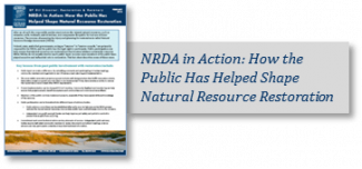 NRDA in Action