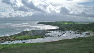 Waiheʻe Wetlands