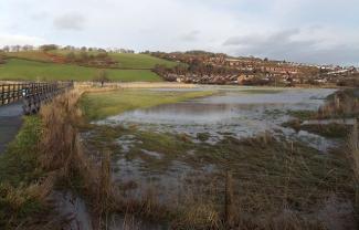 Usk floodplain, Caerleon, Jaggery 