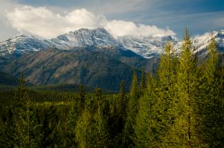 Cabinet Mountain Wilderness near Libby, Montana (Photo: Scott Butner)