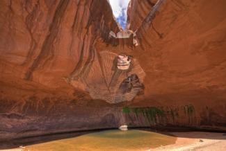 The Golden Cathedral, Grand Staircase Escalante National Monument (John Fowler)