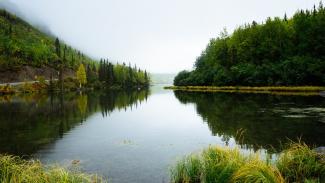 Leadership of Women in the Environmental Movement