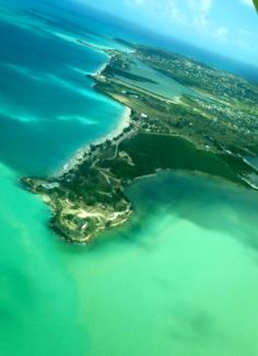 Blue Halo - Antigua