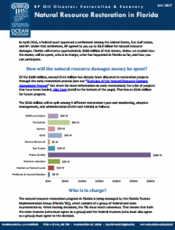BP Oil Disaster: Restoration & Recovery: Natural Resource Restoration in Florida