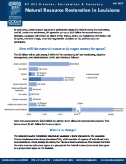 BP Oil Disaster: Restoration & Recovery: Natural Resource Restoration in Louisia