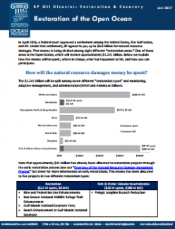 BP Oil Disaster: Restoration & Recovery: Restoration of the Open Ocean