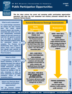 BP Oil Disaster: Restoration and Recovery: Public Participation Opportunities