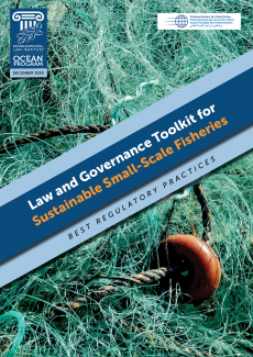 Law and Governance Toolkit for Sustainable Small-Scale Fisheries: Best Regulator