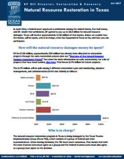 BP Oil Disaster: Restoration & Recovery: Natural Resource Restoration in Texas