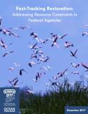 Pink birds flying over wetland grass